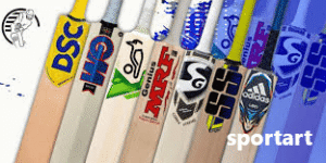 Best Cricket Gear for Beginners Complete Guide for New Players