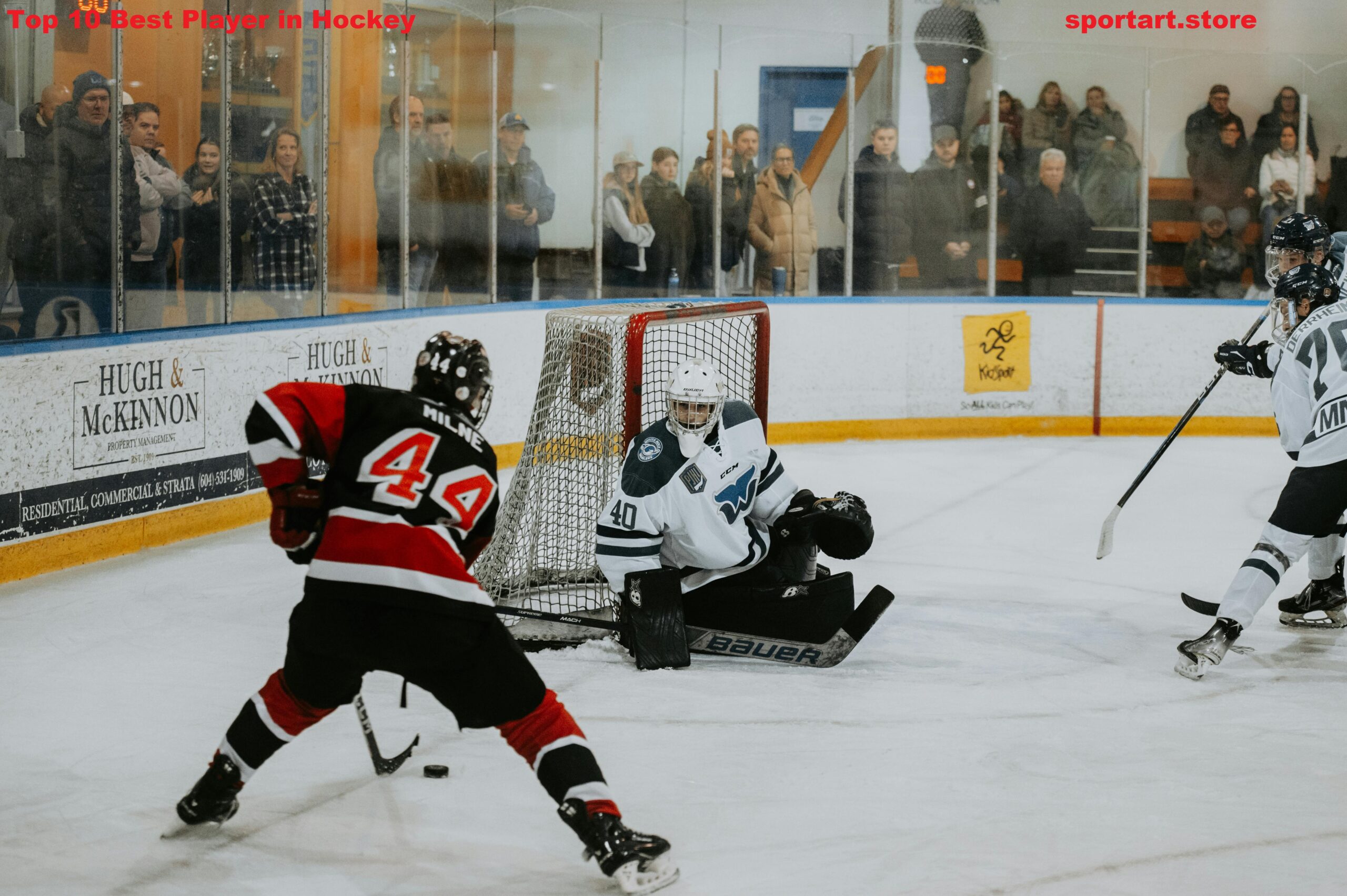 Top 10 Best Player in Hockey In The World 2026