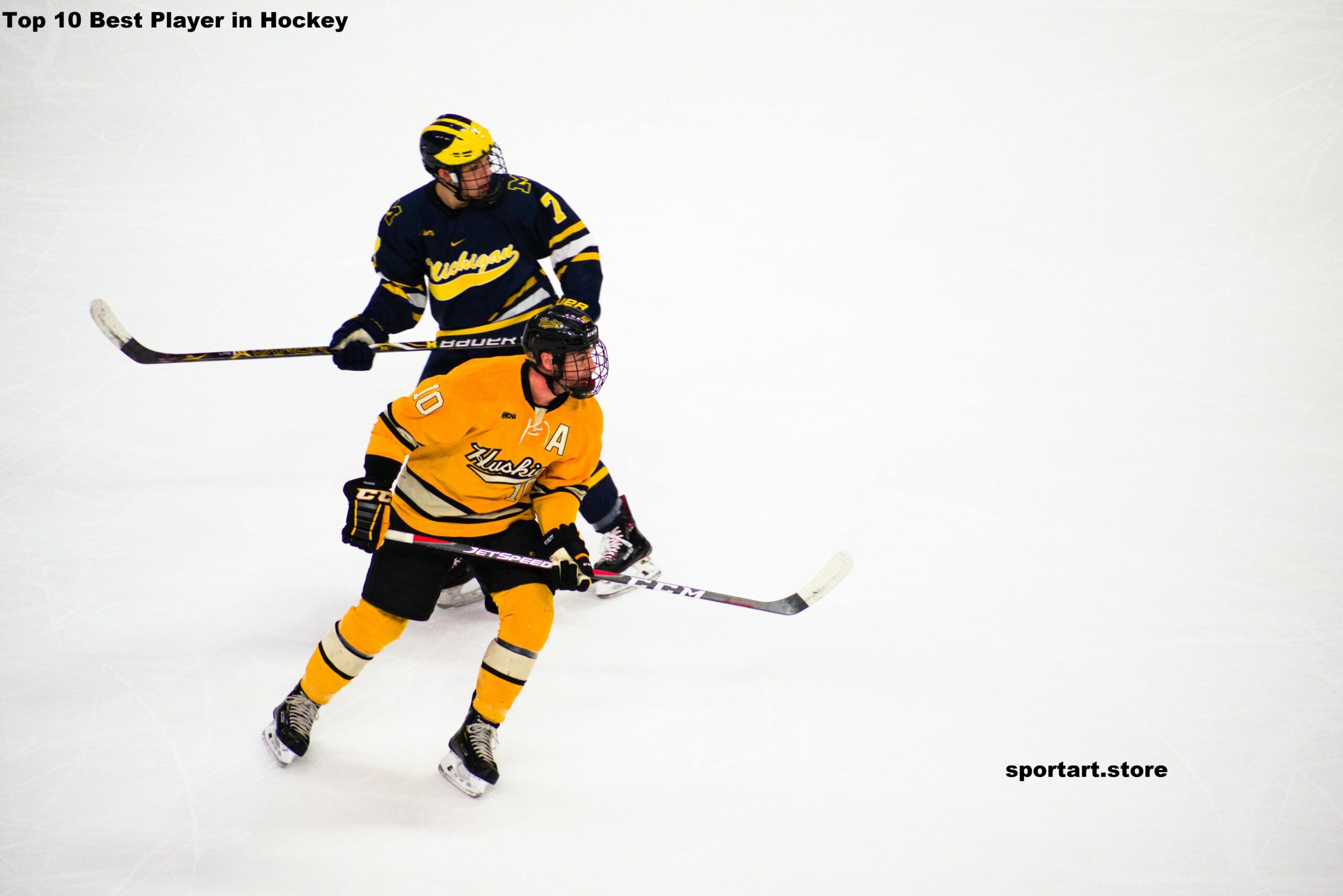 Top 10 Best Player in Hockey In The World 2026