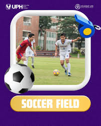 Important Sports in Student Life Essay 2026